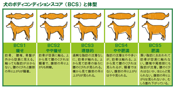 出典：「飼い主のためのペットフード・ガイドライン　～犬・猫の健康を守るために～（環境省）
